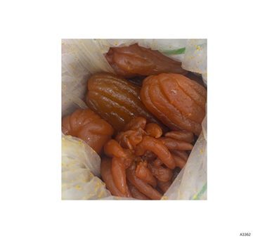 Preserved Fruit Buddha’s Hand